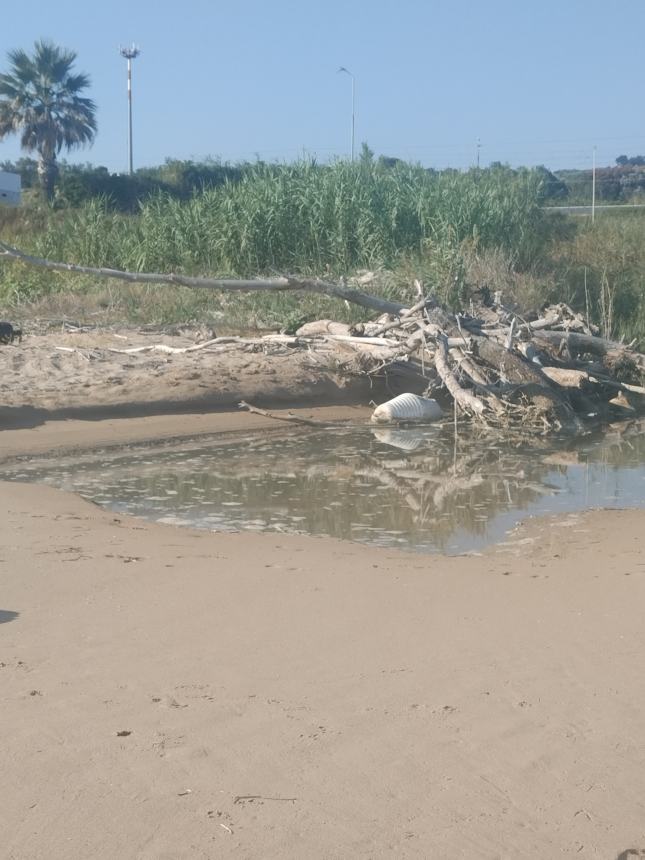 Incuria sulla spiaggia 