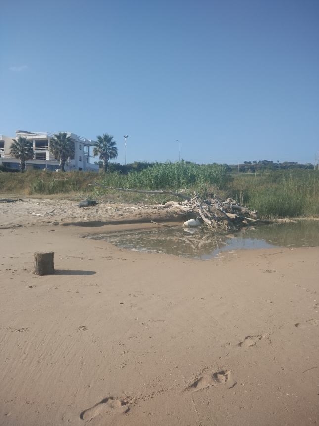 Incuria sulla spiaggia 