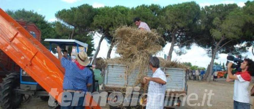 Nel ricordo di Gabriele Del Ciotto, "Dopo 8 anni torna la festa della trebbiatura, grazie al comune di Termoli"