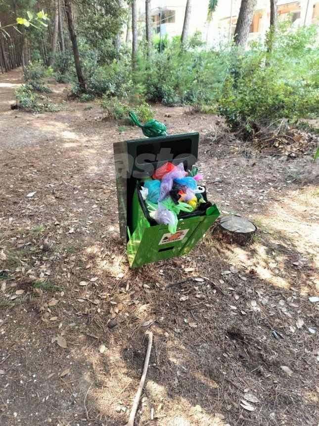 Lusito danneggiato e alberi pericolanti nella pineta Bartali, Barisano: “Interverremo”