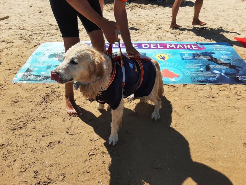 “Sentinelle del Mare”, i cani salvataggio protagonisti a Punta Penna con una simulazione