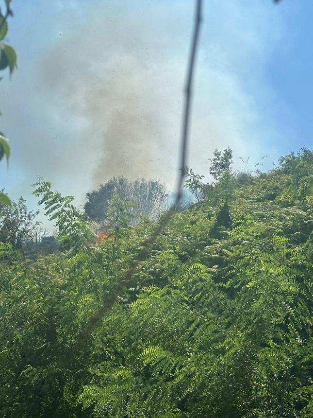 Incendio sul costone ferroviario a Rio Vivo