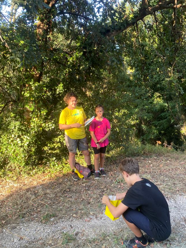 Tour "Amici alberi" al parco comunale: il regno della biodiversità 