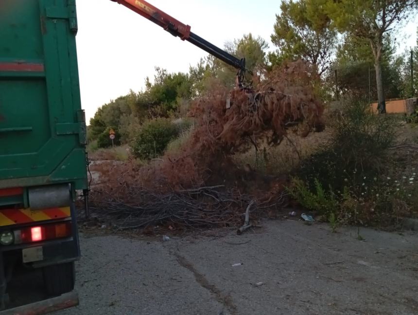 Ripulita Bretella di collegamento con Punta Aderci: “Ora gli interventi di Arap e Regione”