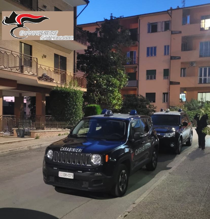 Sicurezza in città, aumentano i controlli dei Carabinieri