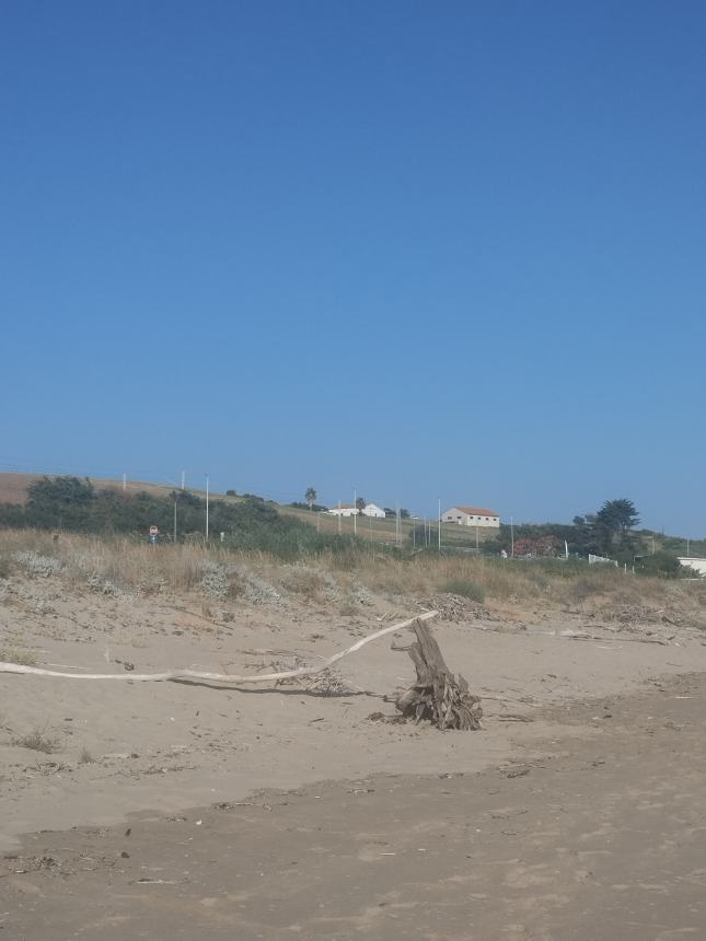 Incuria sulla spiaggia 