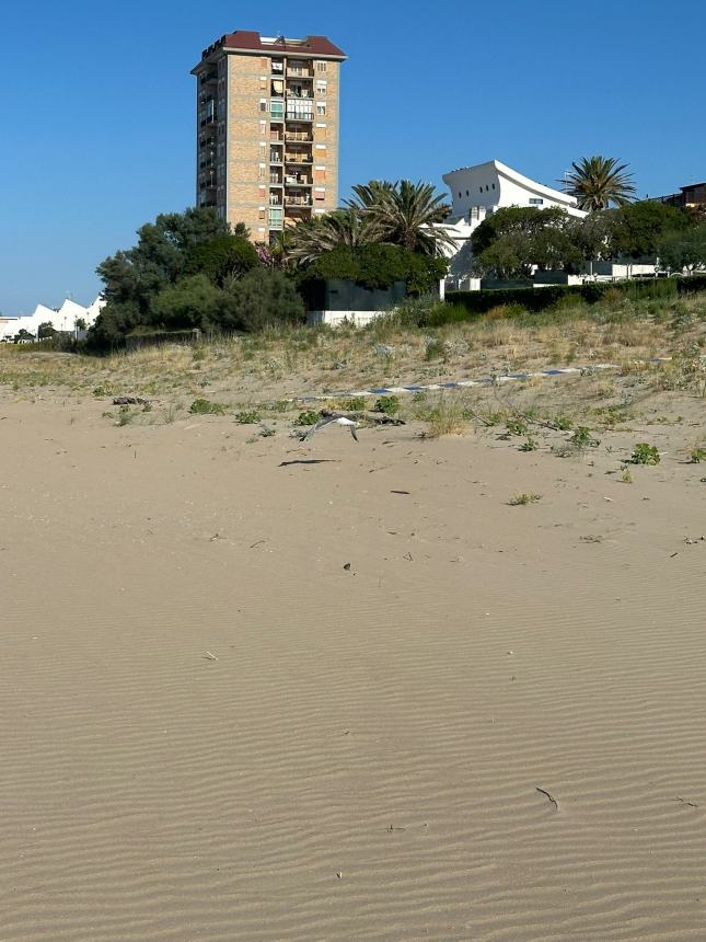 Spiaggia del lungomare Nord