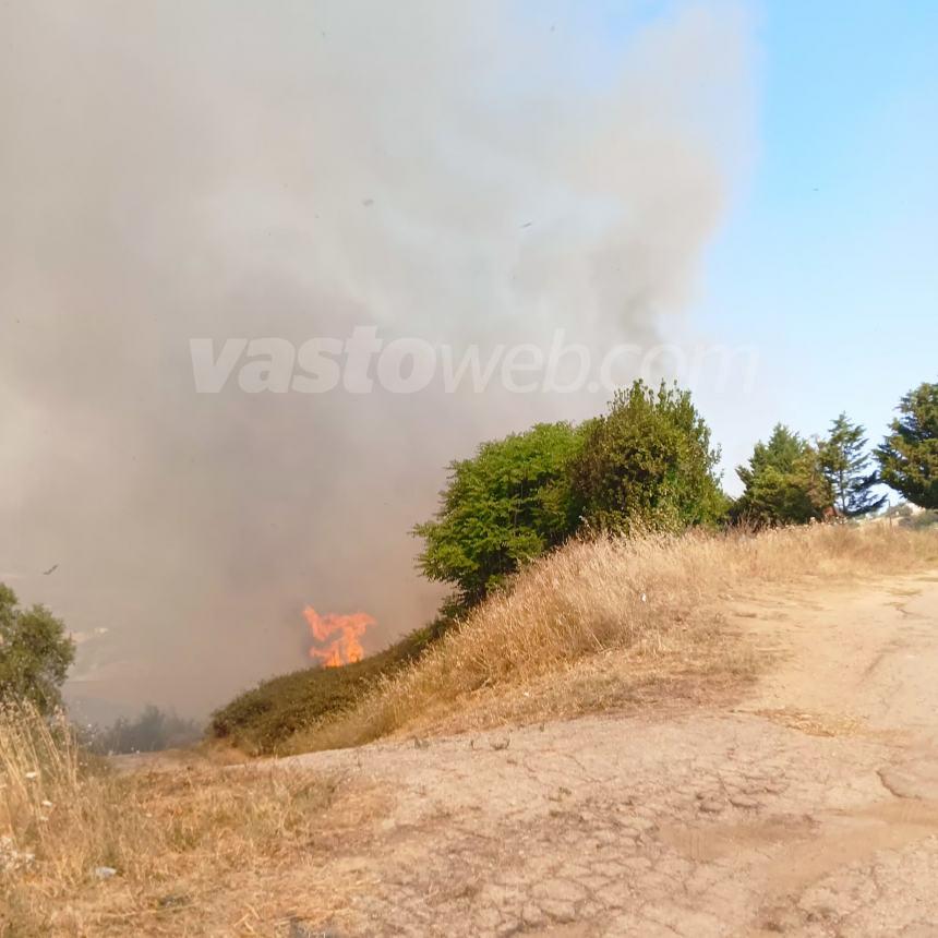 Domato il rogo tra Monteodorisio e Cupello, si lavora sugli ultimi focolai