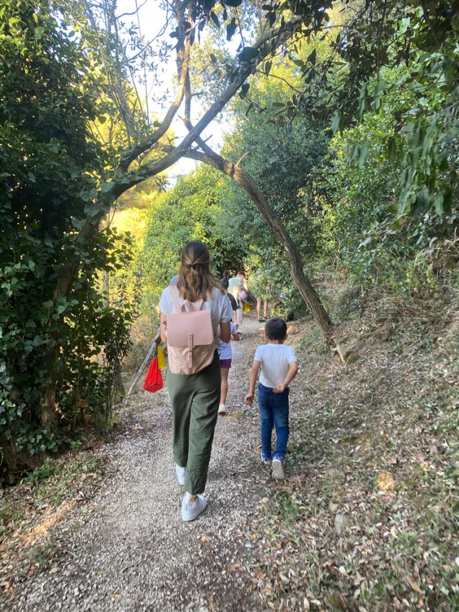 Tour "Amici alberi" al parco comunale: il regno della biodiversità 