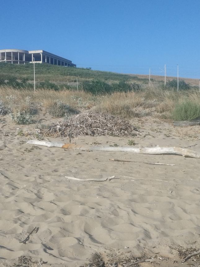 Incuria sulla spiaggia 