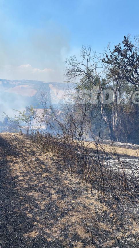 Rogo tra scerni e Casalbordino in Contrada San Michele