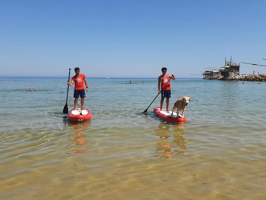 “Sentinelle del Mare”, i cani salvataggio protagonisti a Punta Penna con una simulazione