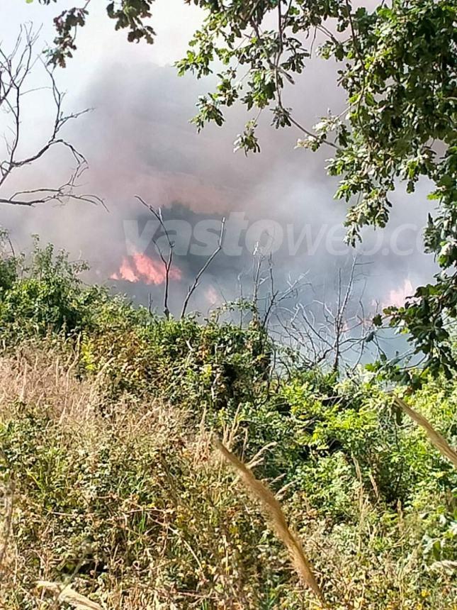 Domato il rogo tra Monteodorisio e Cupello, si lavora sugli ultimi focolai