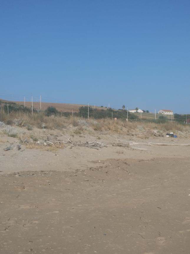 Incuria sulla spiaggia 