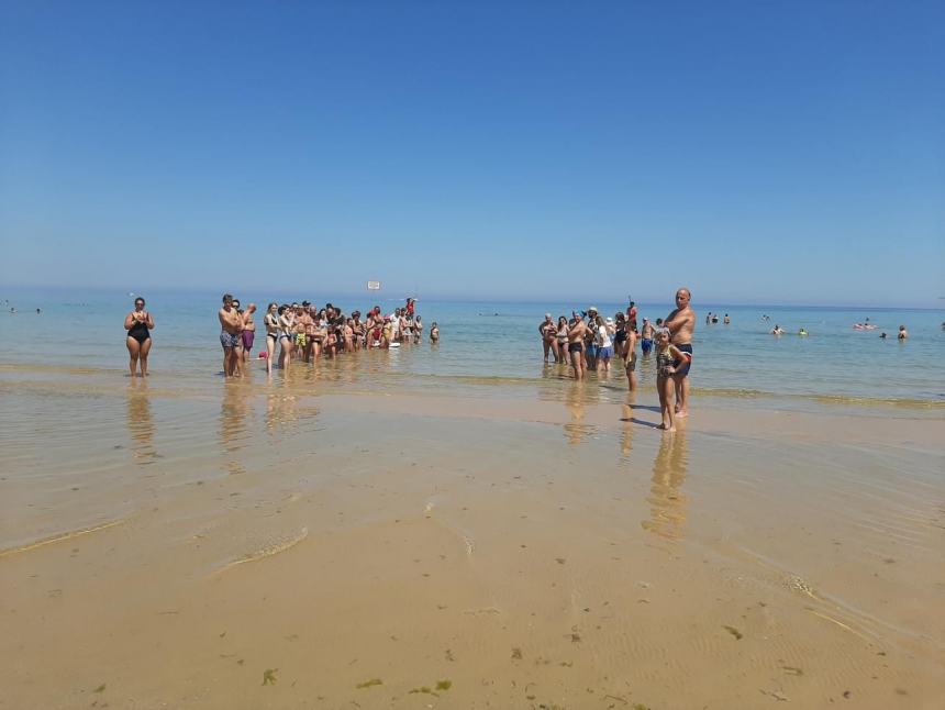 “Sentinelle del Mare”, i cani salvataggio protagonisti a Punta Penna con una simulazione