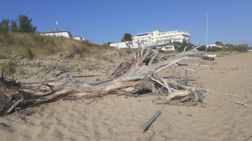 La spiaggia del litorale Nord