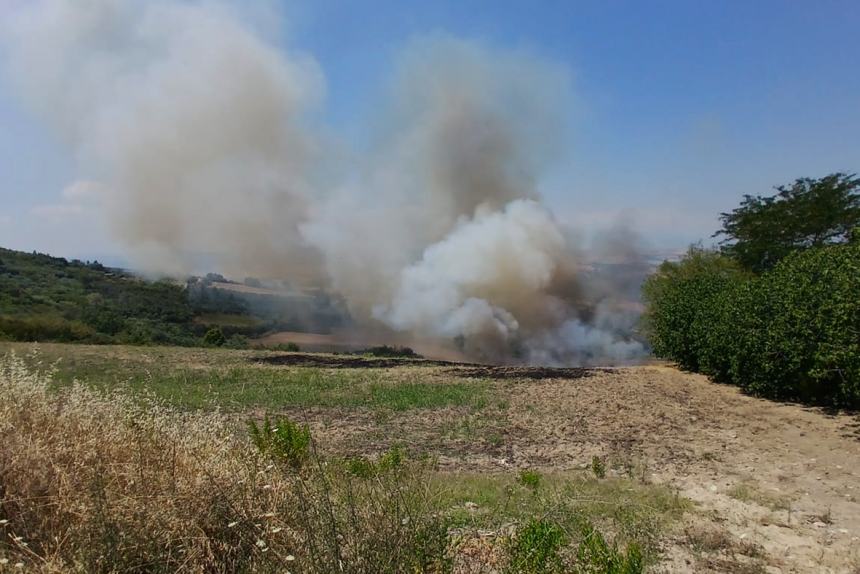 Rogo domato tra Monteodorisio e Cupello, intervenuti anche volontari di Casalbordino