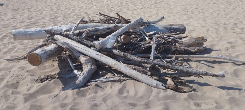 La spiaggia del litorale Nord