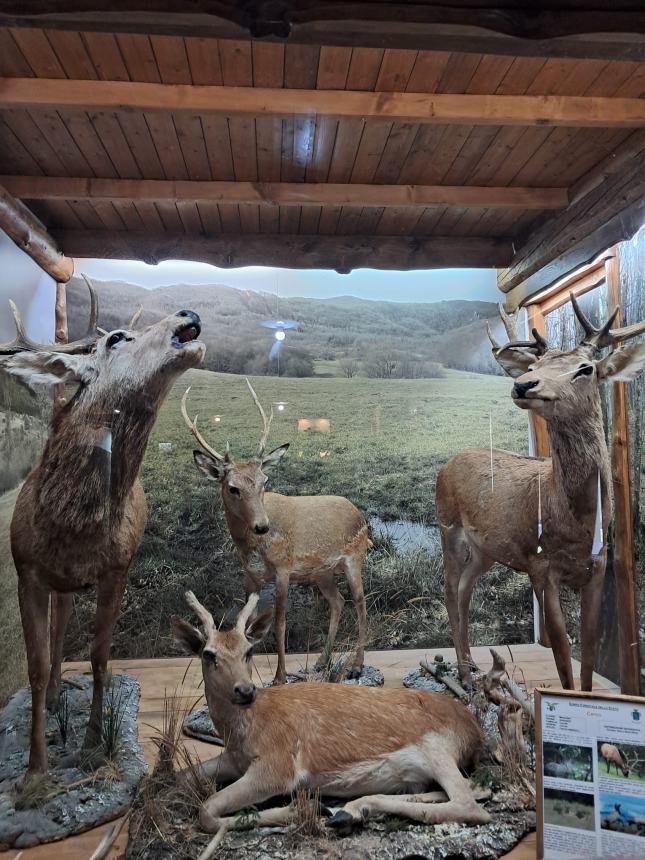 Campus estivo alla scoperta della Biodiversità