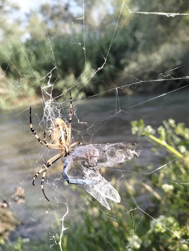 “Dai Calanchi al Biferno”: alla scoperta della Rete Natura 2000