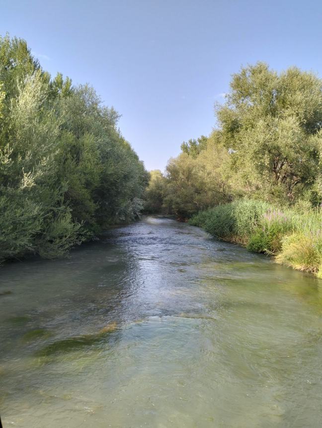 “Dai Calanchi al Biferno”: alla scoperta della Rete Natura 2000