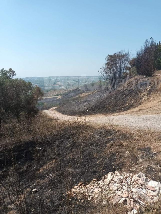 Domato il rogo tra Monteodorisio e Cupello, si lavora sugli ultimi focolai