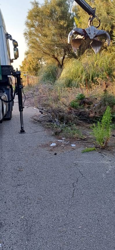 Ripulita Bretella di collegamento con Punta Aderci: “Ora gli interventi di Arap e Regione”