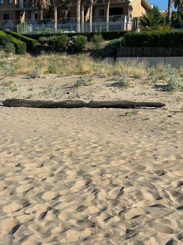 Spiaggia del lungomare Nord