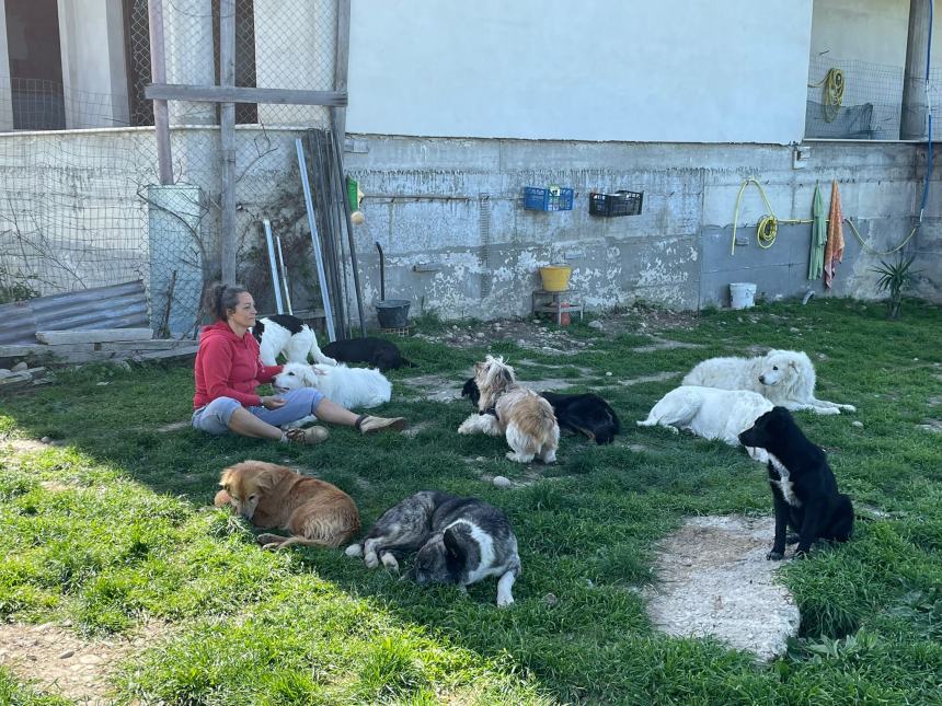 Il grande cuore di chi dona, bene la raccolta alimentare per gli amici a 4 zampe