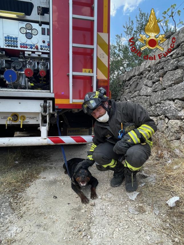 Vigili del fuoco di Agnone e Isernia a Taranto