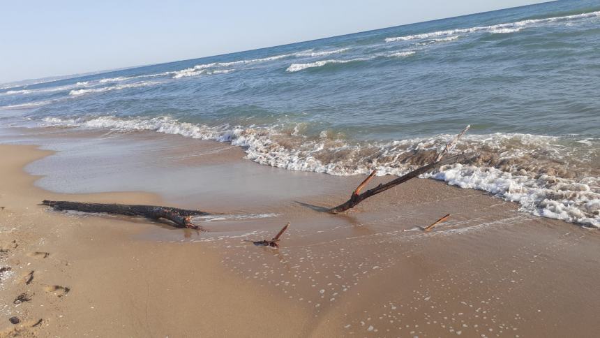 La spiaggia del litorale Nord