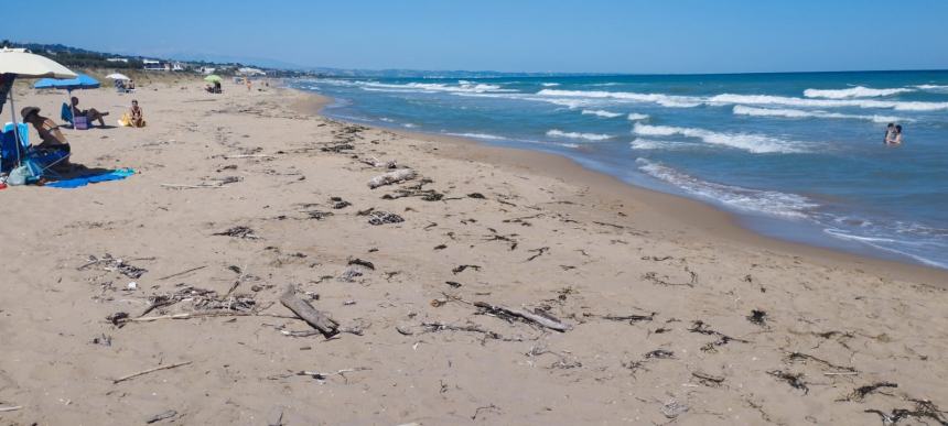 La spiaggia del litorale Nord