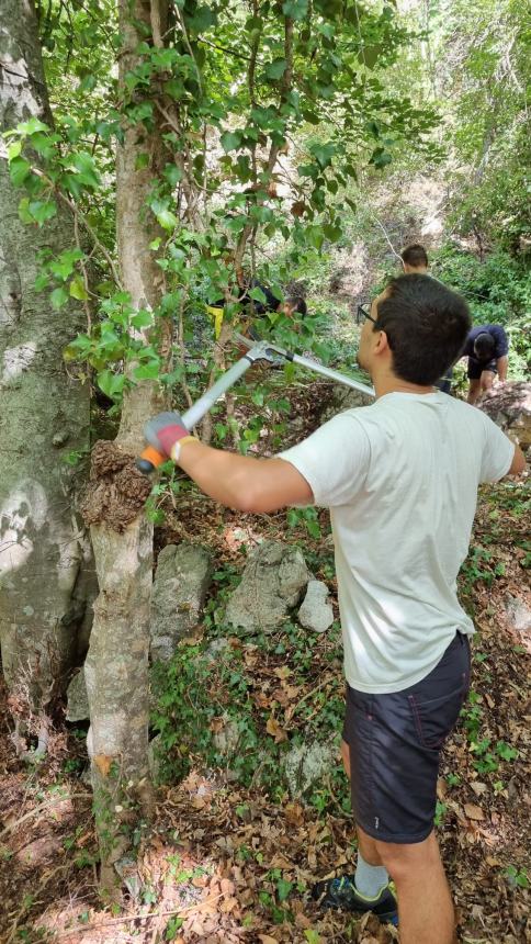 Un successo il campo di volontariato internazionale di Tornareccio