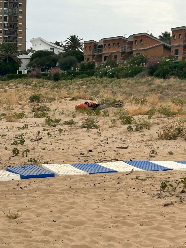 Siti da tutelare e turisti da accogliere, sulle spiagge libere si apra un confronto con la Regione