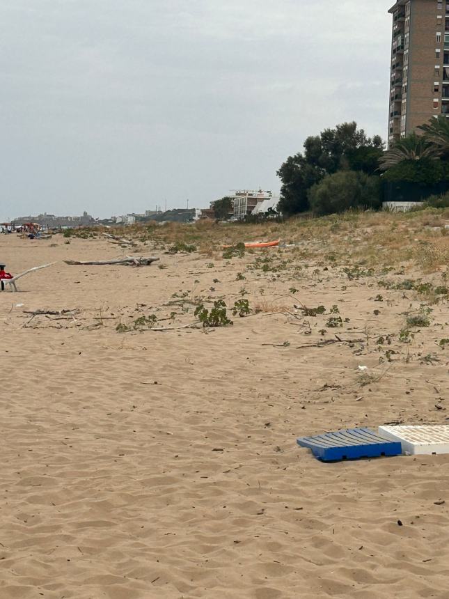 Siti da tutelare e turisti da accogliere, sulle spiagge libere si apra un confronto con la Regione