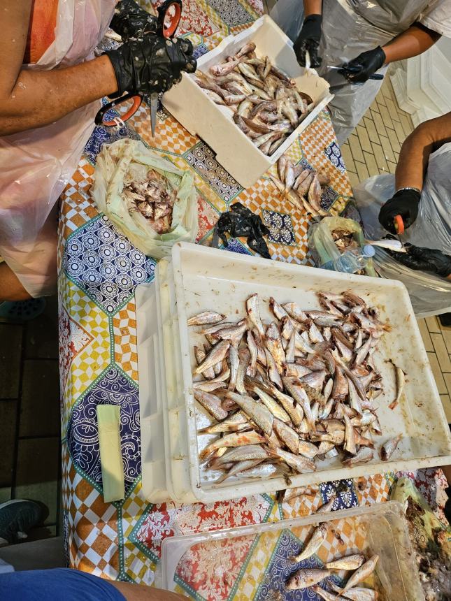 Sbarcati già quasi 35 quintali di prodotto ittico per la Sagra del Pesce