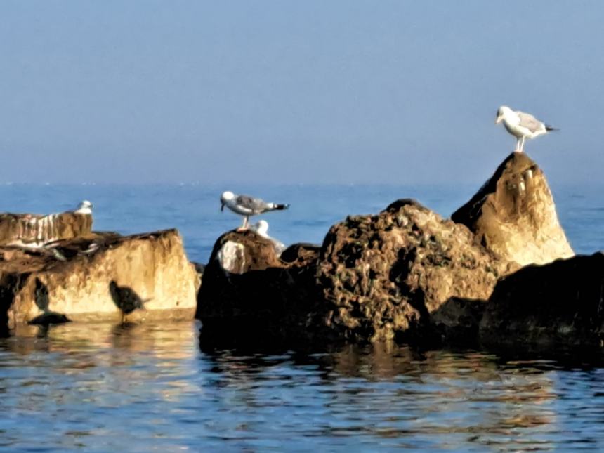 Ultima domenica di agosto 