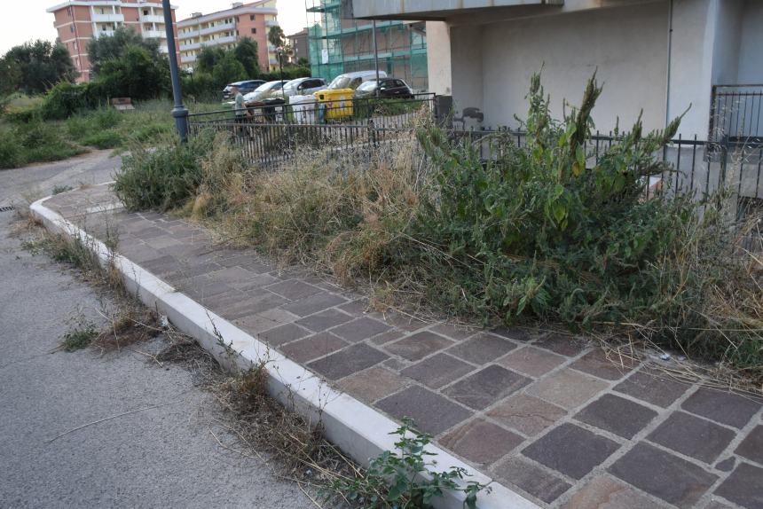 Verde urbano: nelle periferie funziona poco 