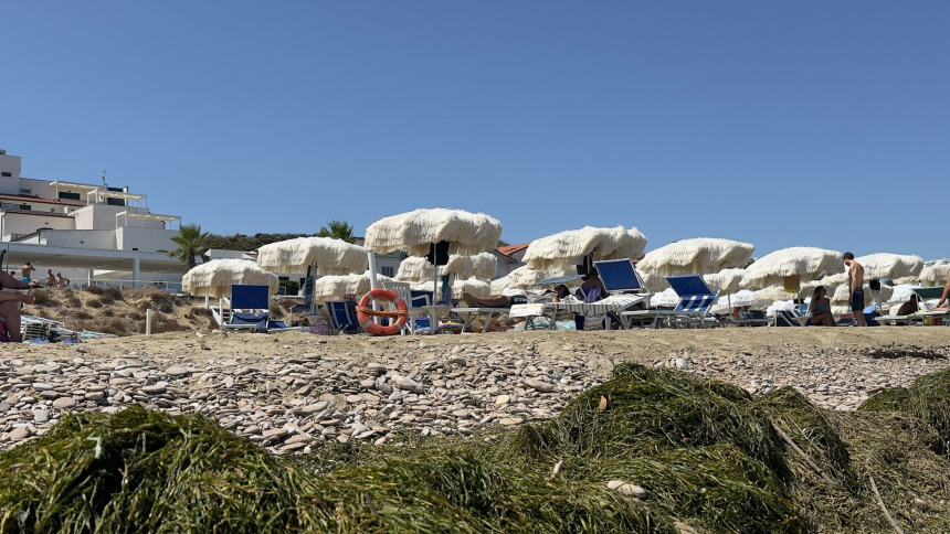 A nord di Casalbordino Lido spunta la Cymodocea nodosa: "Segno di salute del mare" 