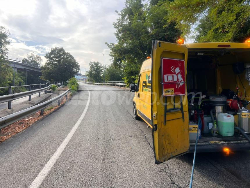 Autocisterna perde olio in via Istonia e raggiunge Monteodorisio: viabilità in tilt