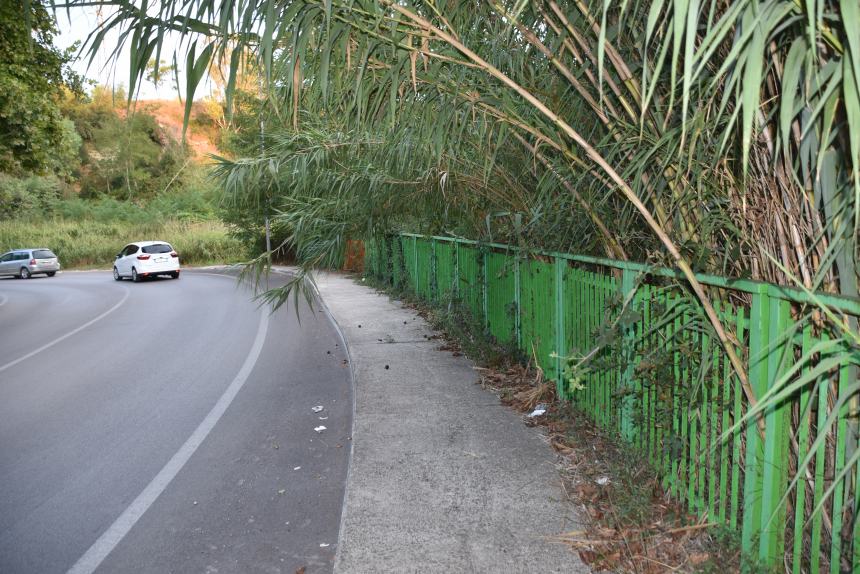 Verde urbano: nelle periferie funziona poco 