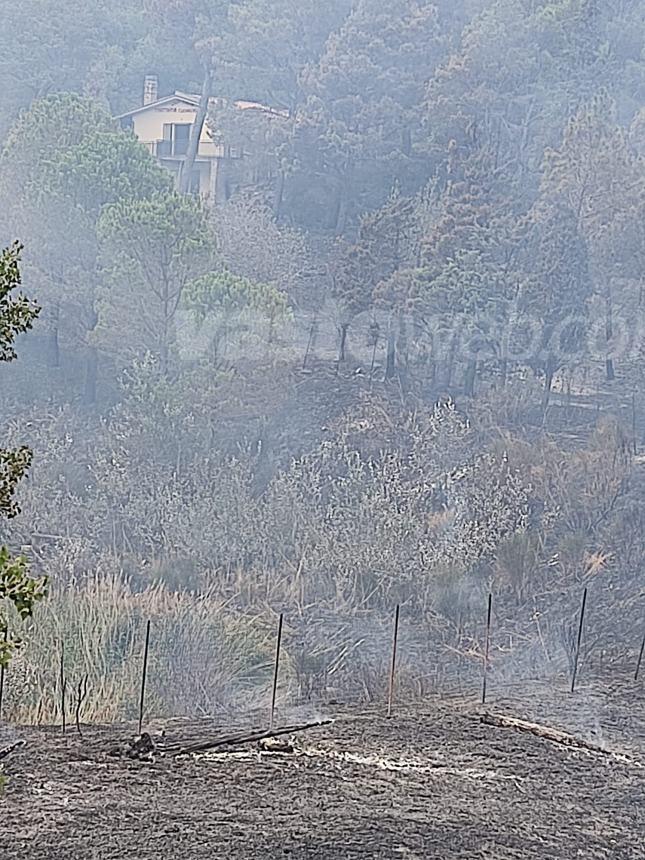 Vasto rogo tra Tufillo e Montemitro, bloccata la Statale 650 Fondo Valle Trigno