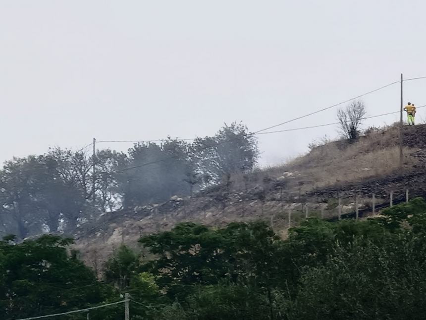 Fiamme a Ferragosto, incendio a ridosso del bosco Corundoli 