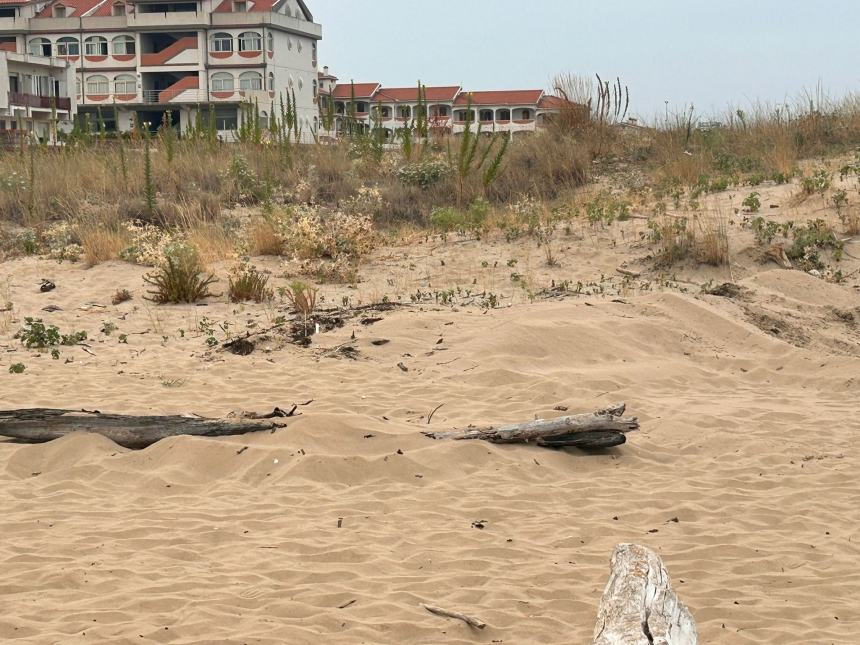 Siti da tutelare e turisti da accogliere, sulle spiagge libere si apra un confronto con la Regione