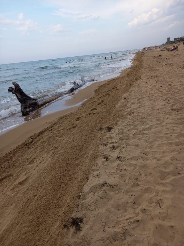 La pulizia della spiaggia libera