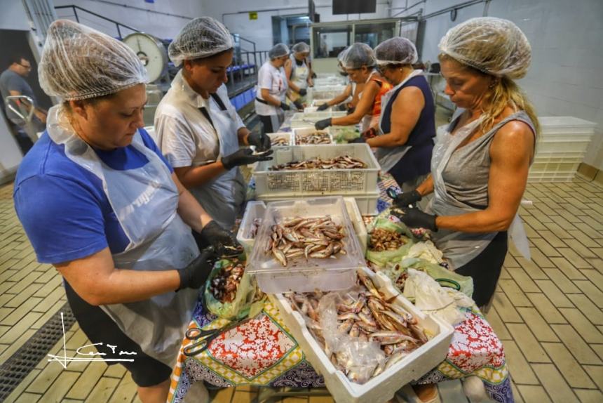 Sbarcati già quasi 35 quintali di prodotto ittico per la Sagra del Pesce