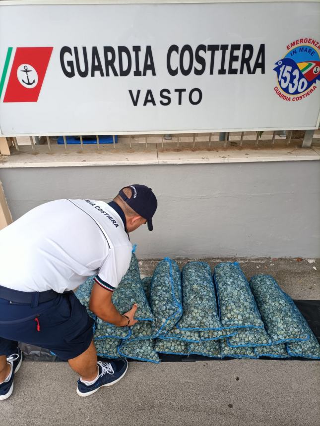 Sequestrati 200 kg. di vongole, erano prive di tracciabilità