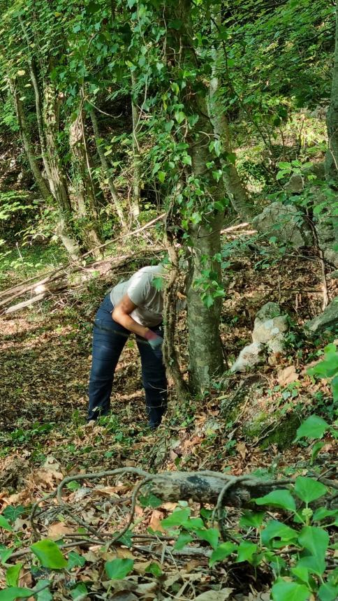 Un successo il campo di volontariato internazionale di Tornareccio