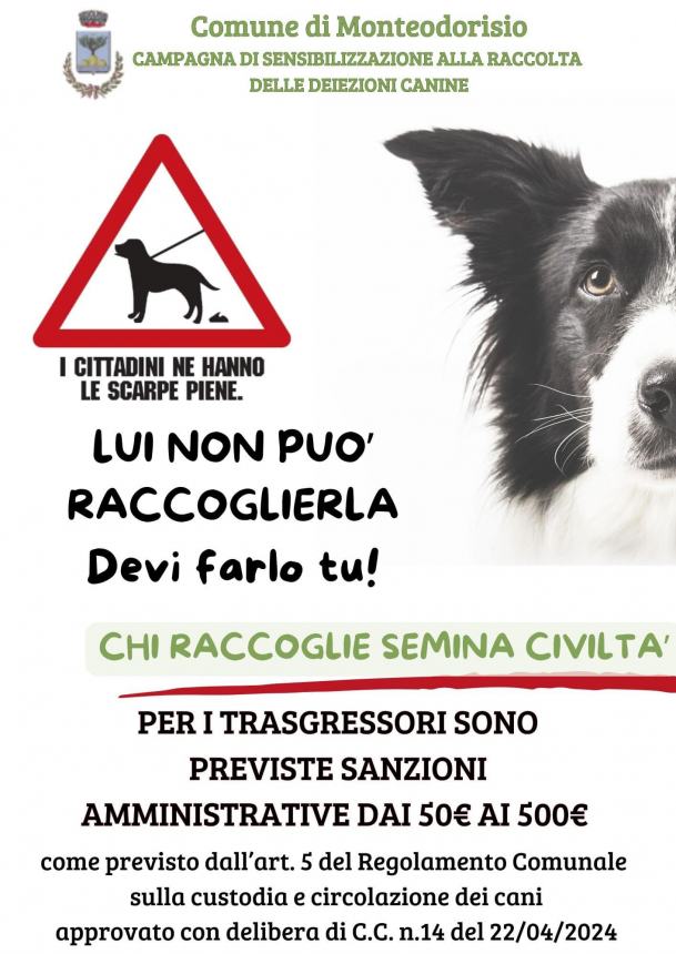 Deiezioni canine, a Monteodorisio si intensificano i controlli: pronte sanzioni salate 