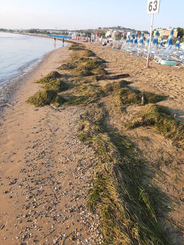 Proseguono a Vasto  i lavori di pulizia lungo il tratto costiero della Marina   